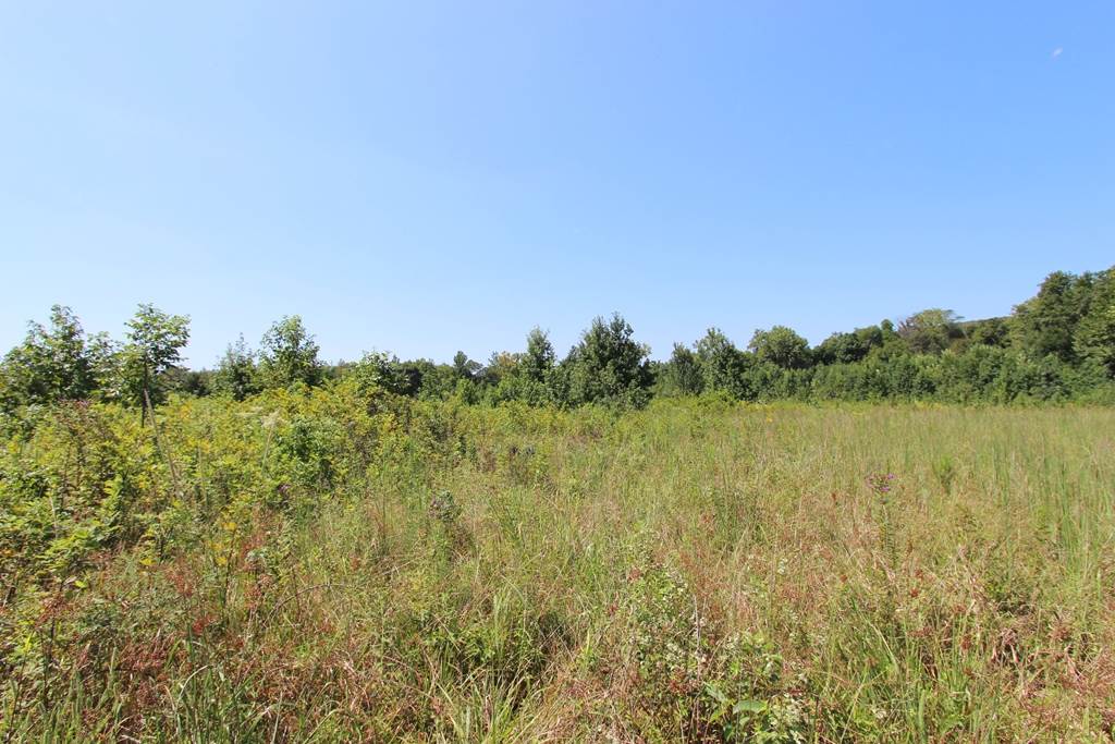960 Doy B Road Property Photo 14