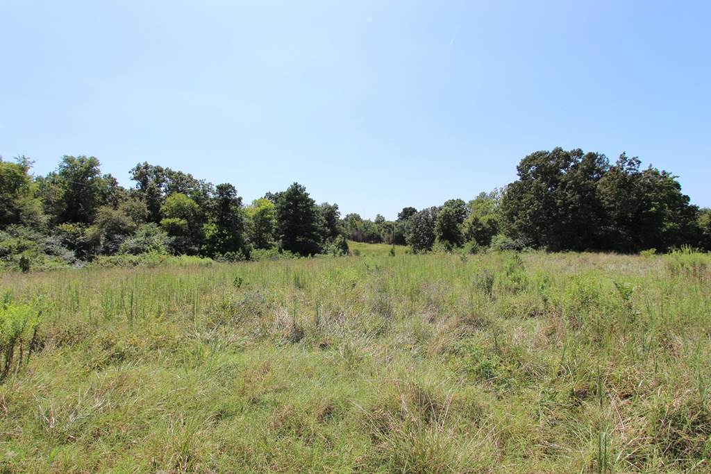 960 Doy B Road Property Photo 16