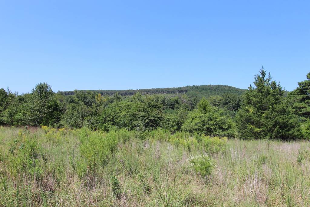 960 Doy B Road Property Photo 20