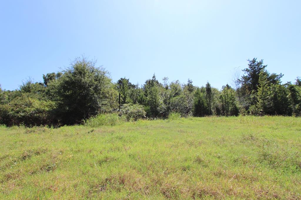 960 Doy B Road Property Photo 26