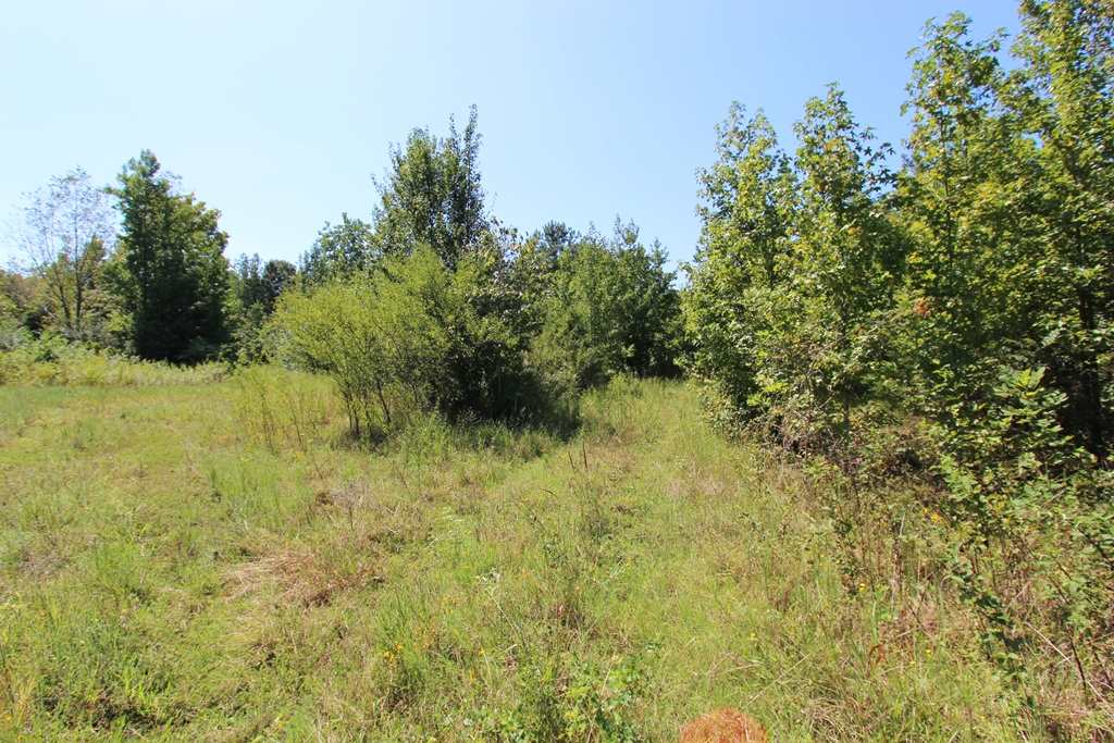 960 Doy B Road Property Photo 28