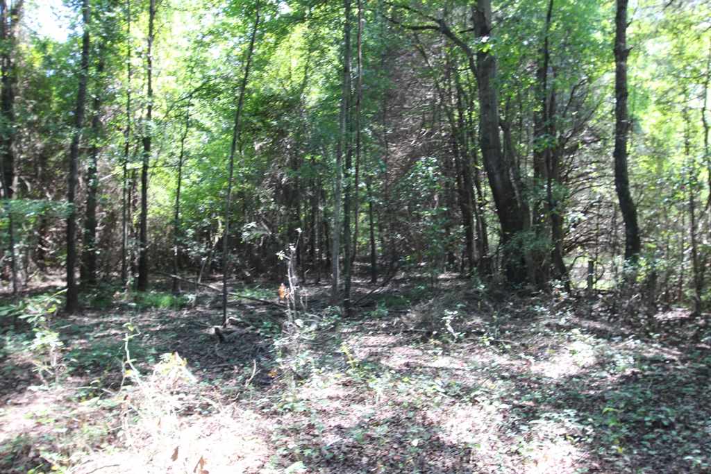 960 Doy B Road Property Photo 29