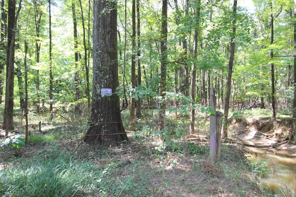 960 Doy B Road Property Photo 30