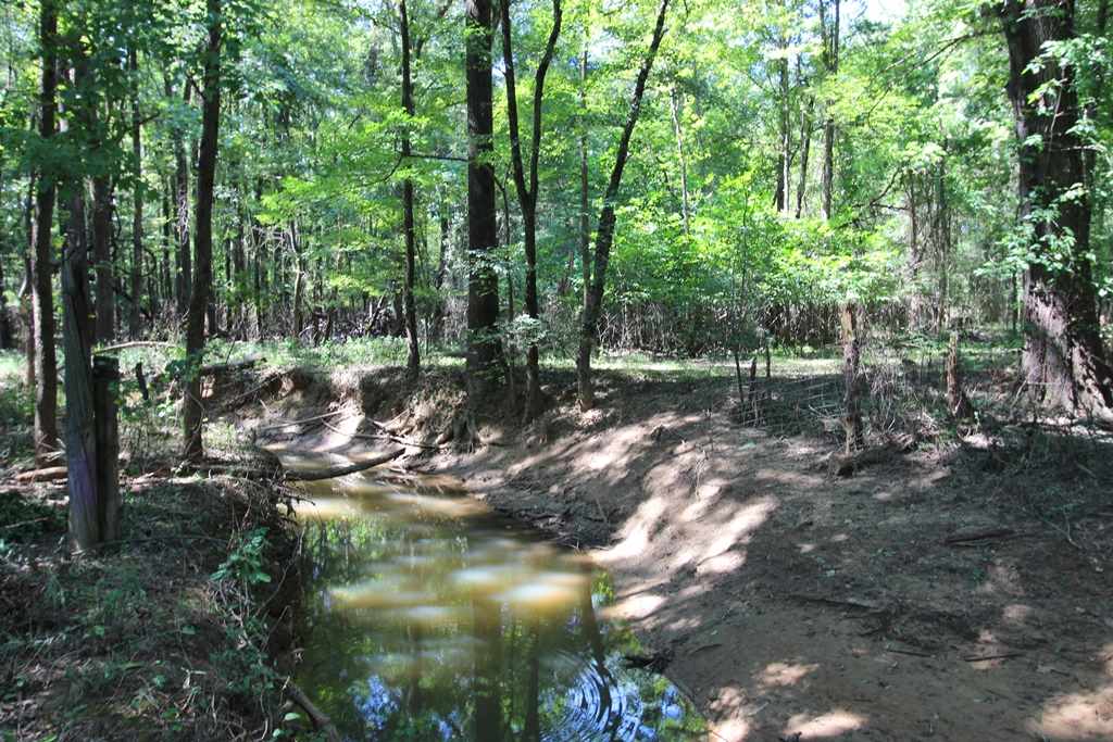 960 Doy B Road Property Photo 31