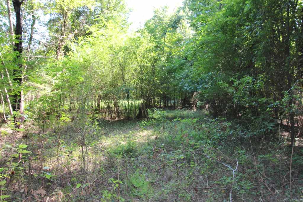 960 Doy B Road Property Photo 32