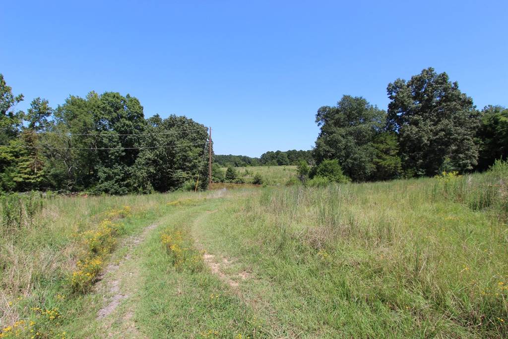 950 Doy B Road Property Photo 3