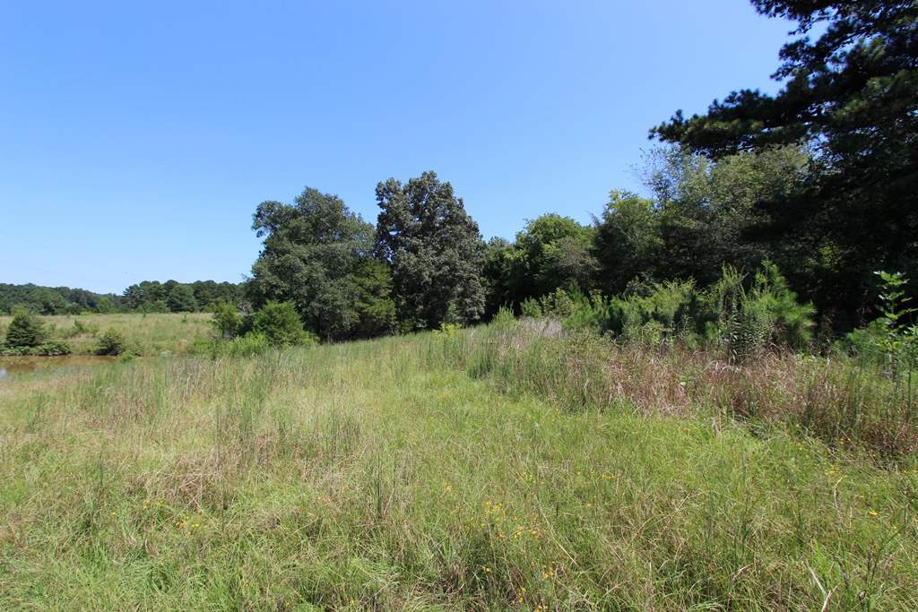950 Doy B Road Property Photo 4
