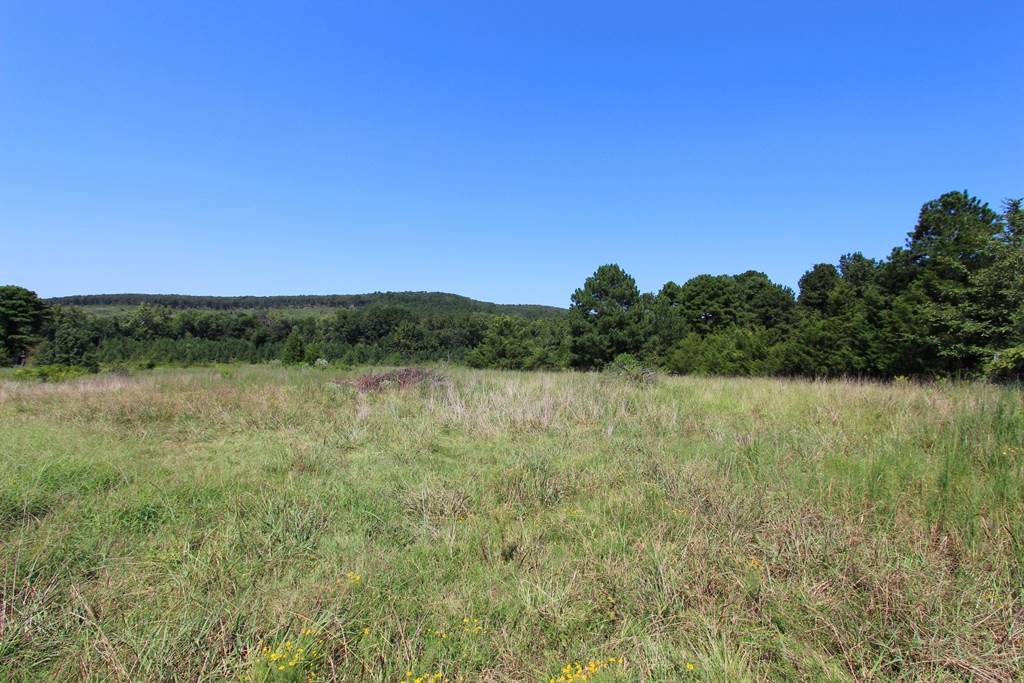 950 Doy B Road Property Photo 10