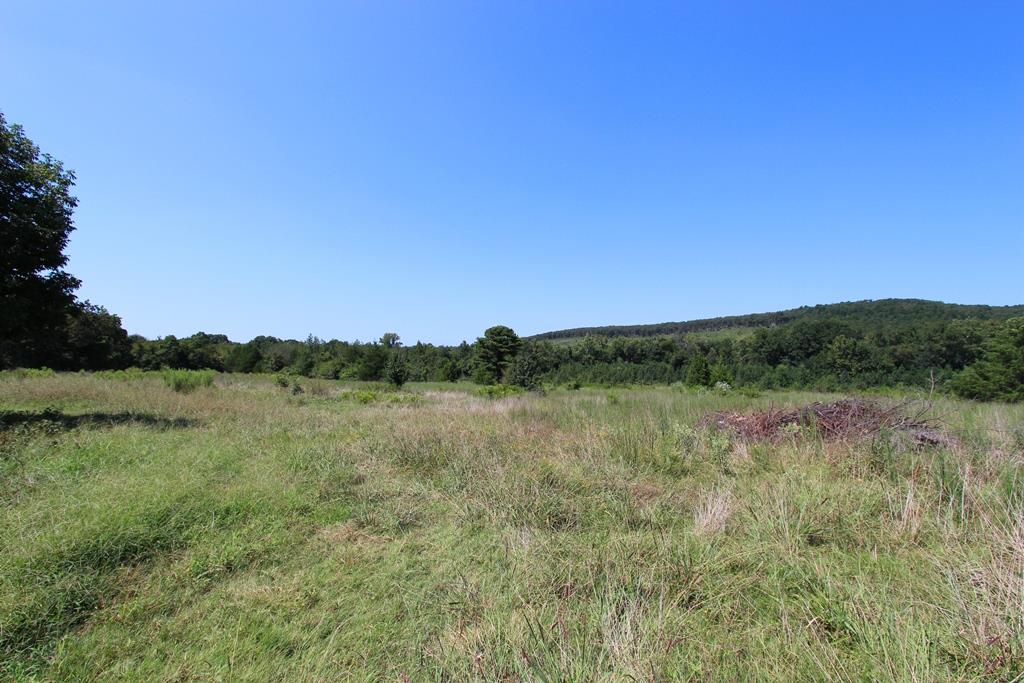 950 Doy B Road Property Photo 11