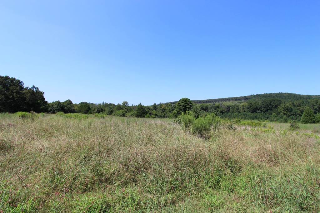950 Doy B Road Property Photo 13