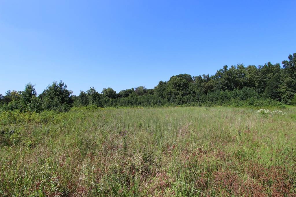 950 Doy B Road Property Photo 17