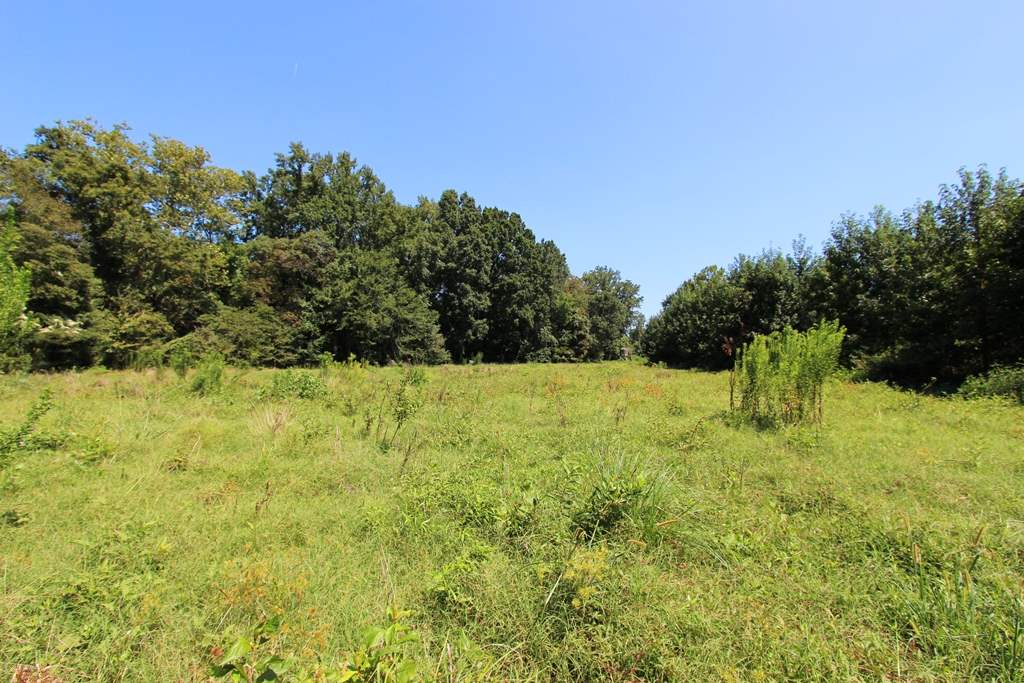 950 Doy B Road Property Photo 20