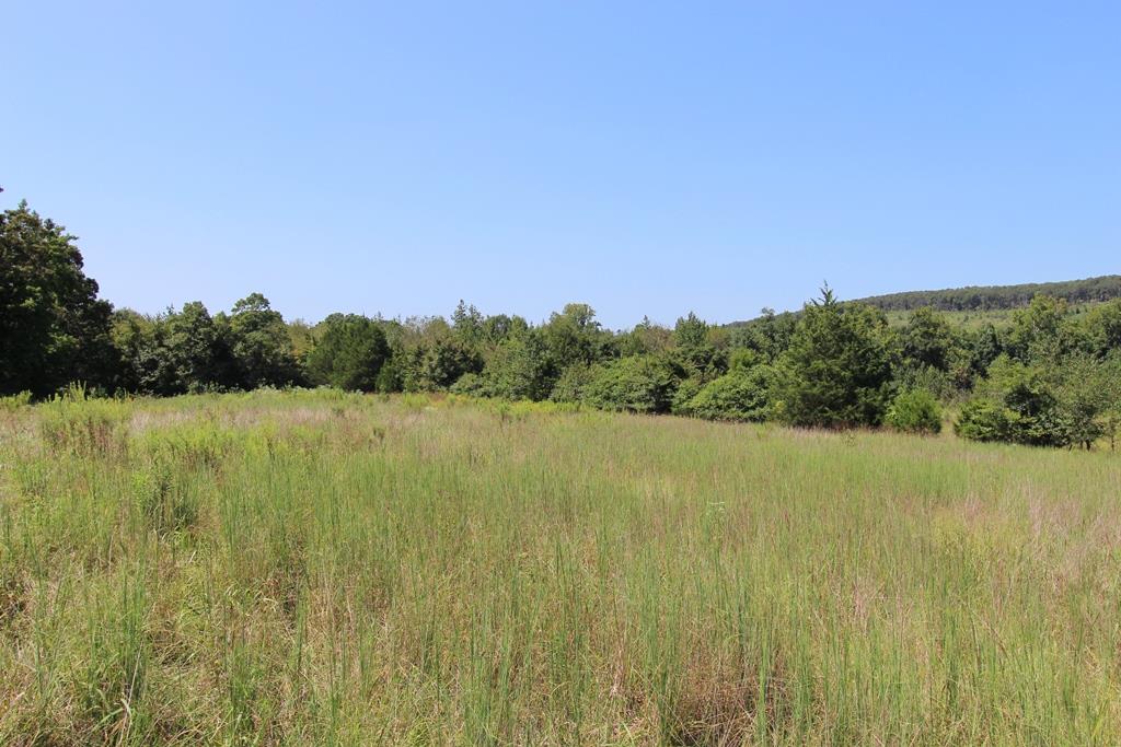 950 Doy B Road Property Photo 28