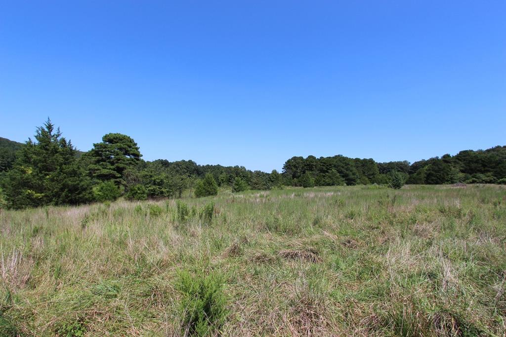 950 Doy B Road Property Photo 30
