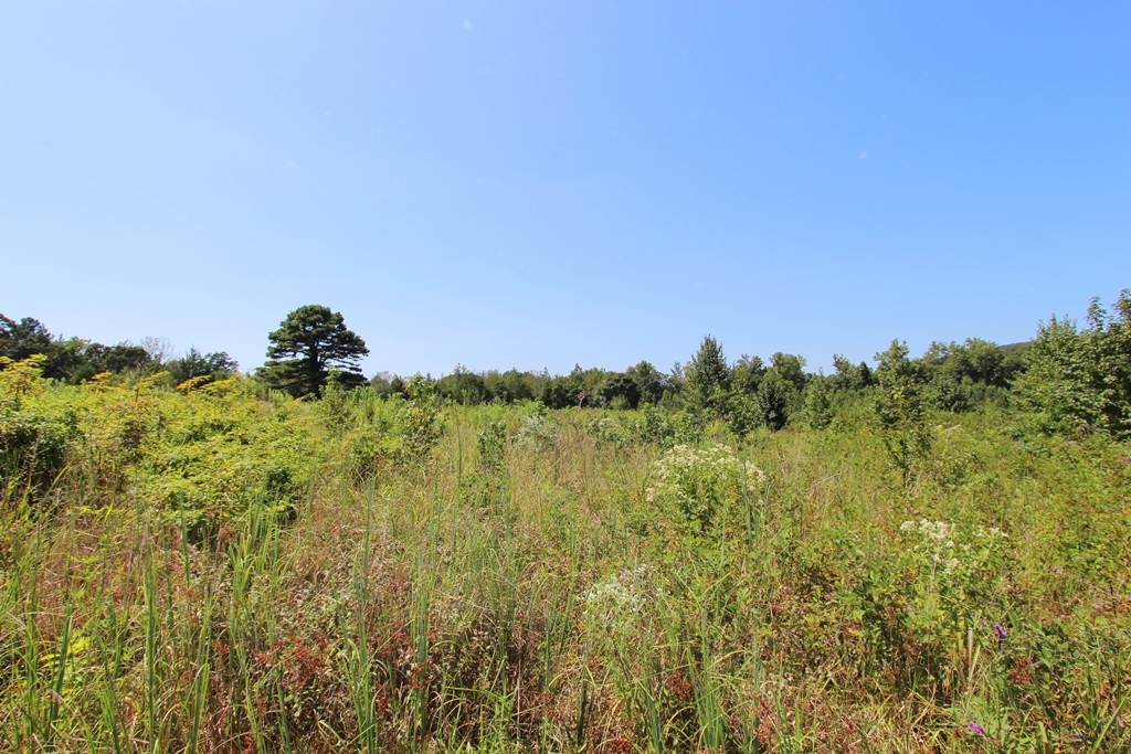 940 Doy B Road Property Photo 10