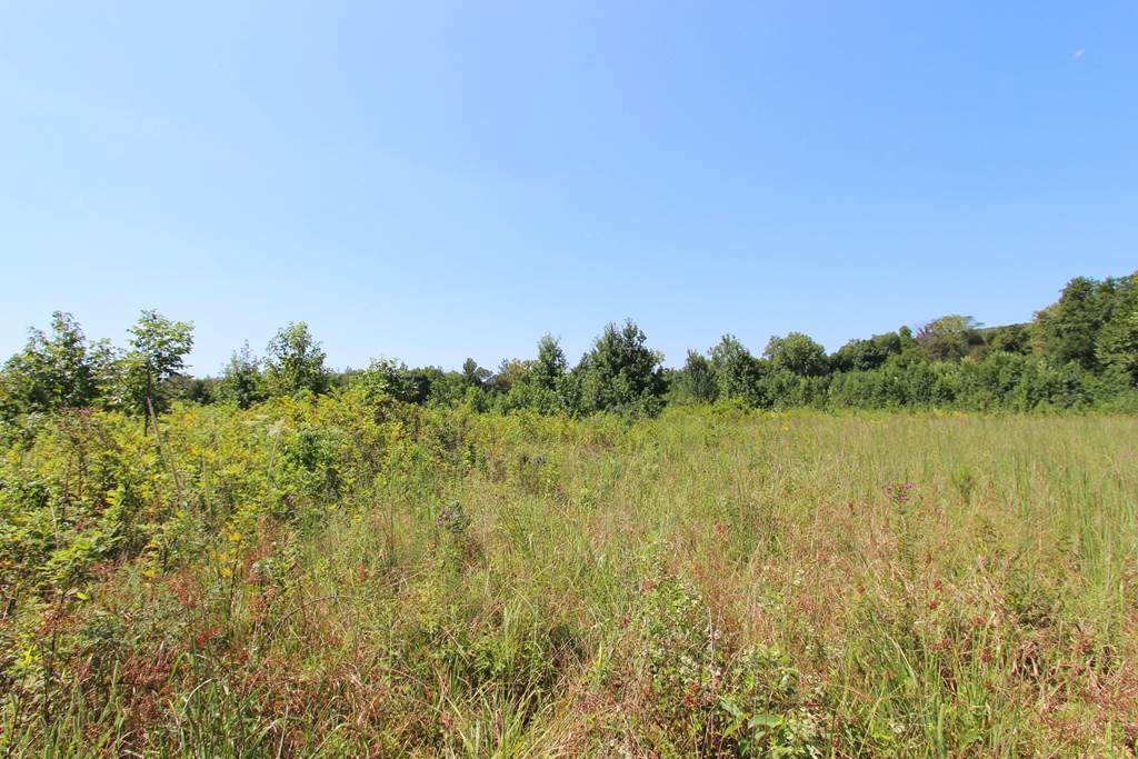 940 Doy B Road Property Photo 11