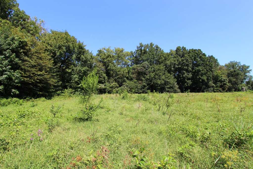 940 Doy B Road Property Photo 14