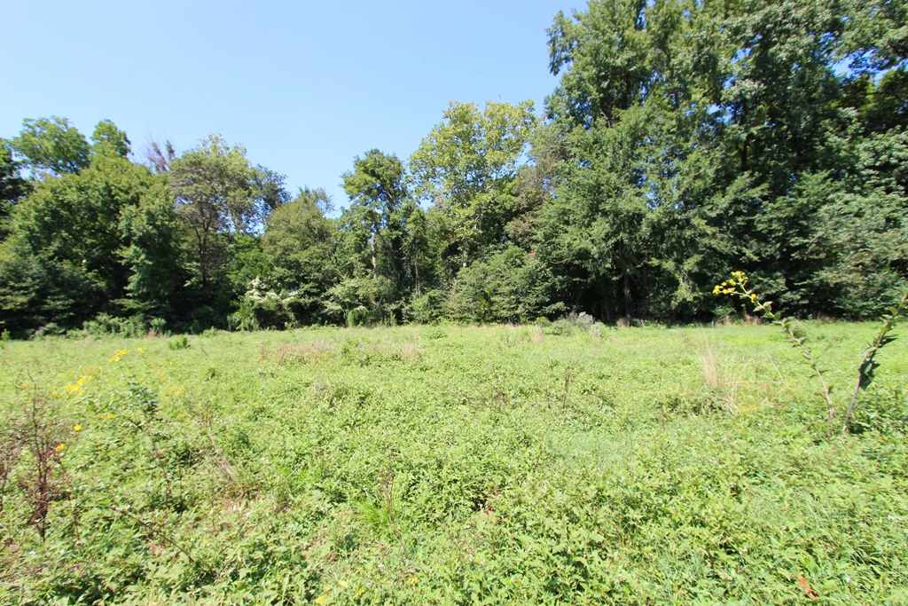 940 Doy B Road Property Photo 17
