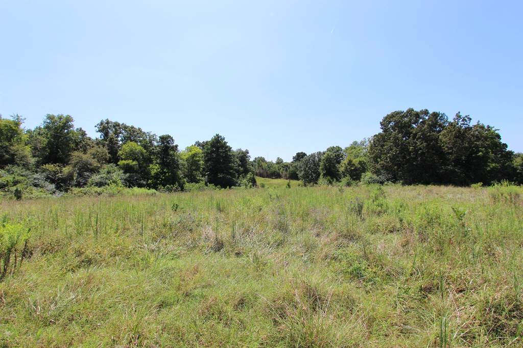 940 Doy B Road Property Photo 22