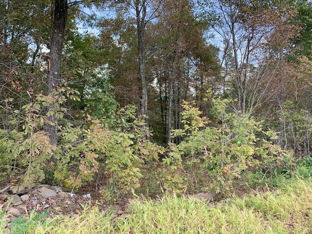 000 Hwy 65 North Property Photo 1