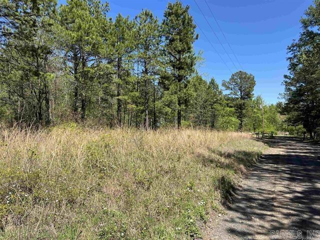 000 Hwy 65 North Property Photo 3