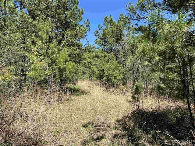 000 Hwy 65 North Property Photo 4