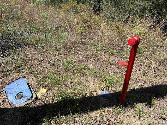 000 Hwy 65 North Property Photo 5