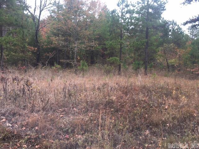 000 Hwy 65 North Property Photo 7
