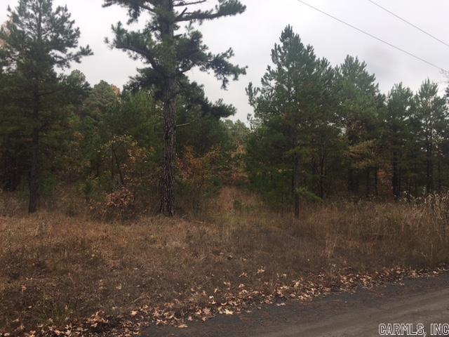 000 Hwy 65 North Property Photo 8