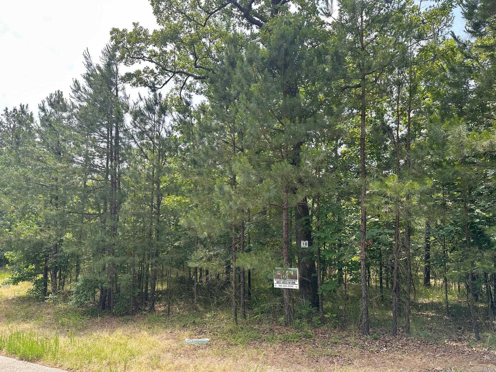 232 Dellmere Drive Property Photo 1