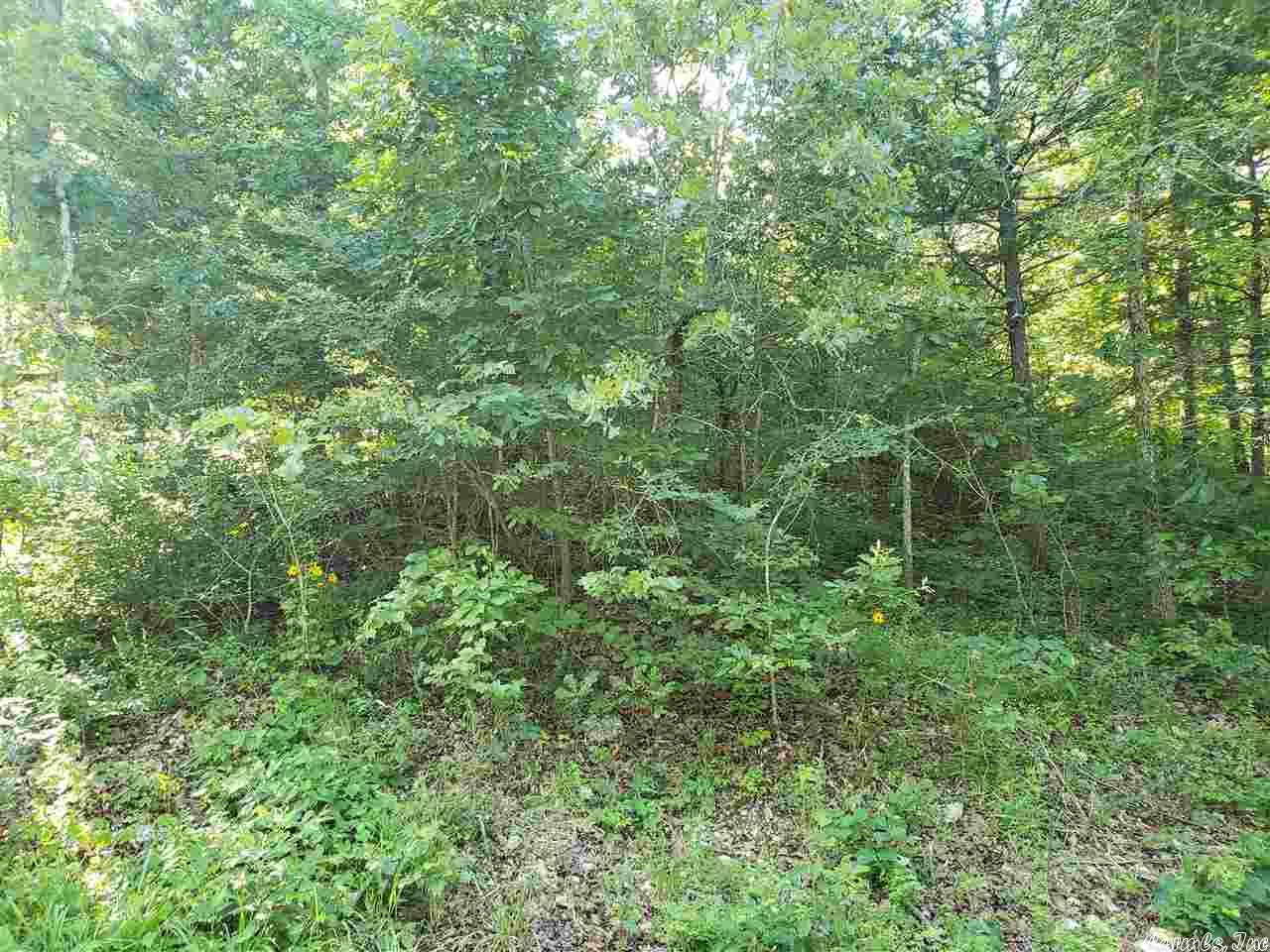 Chautauqua Drive Property Photo 3