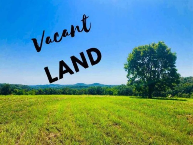 25401 Blue Gill Property Photo 1