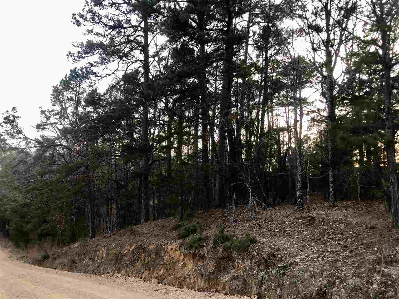 Elm Drive