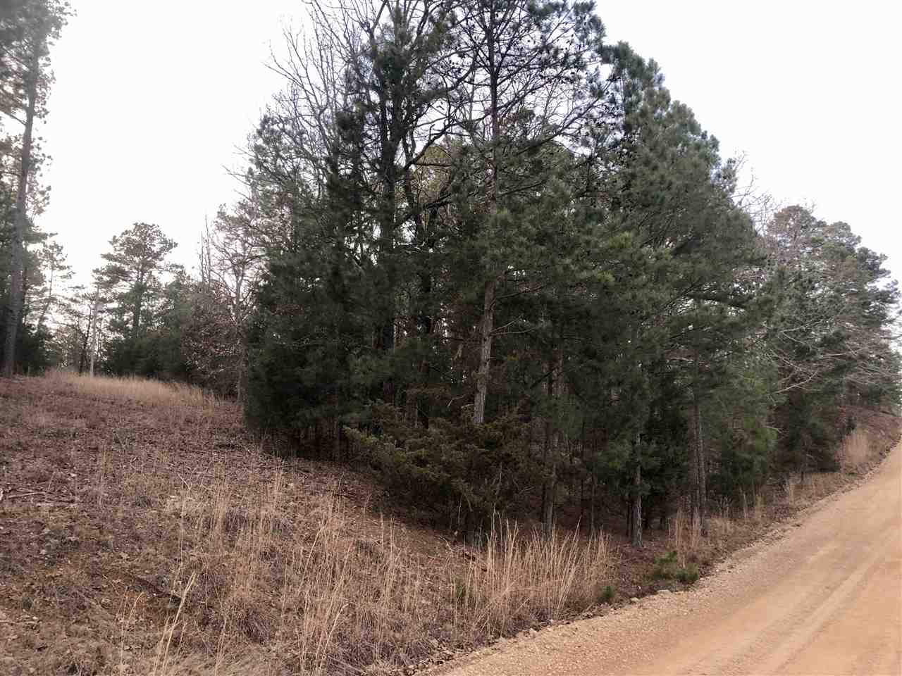 Elm Drive Property Photo 3