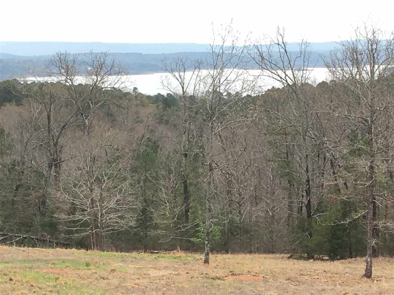 Lots 2, 3 & 9 Buffalo Ridge Road Property Photo