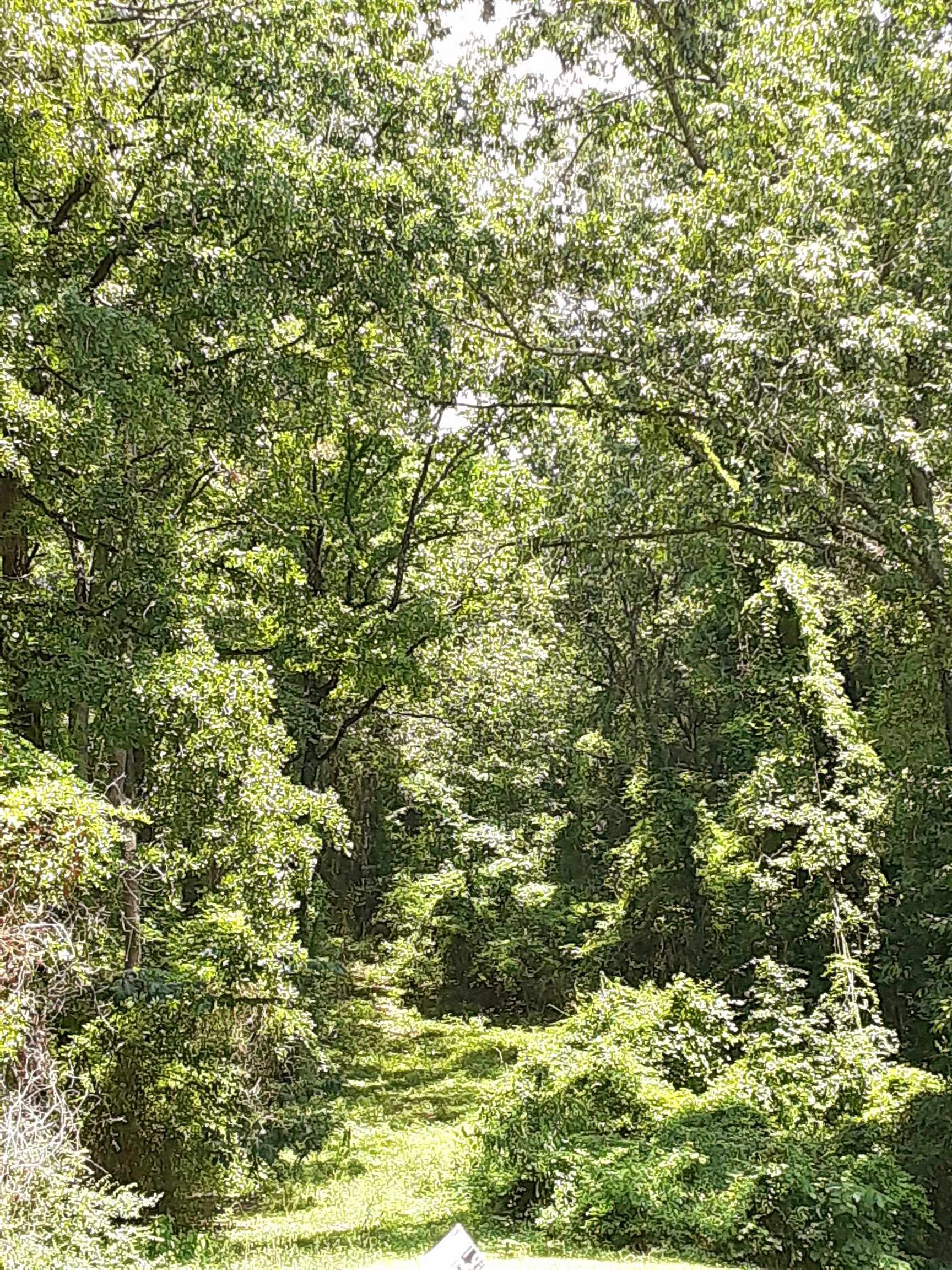 Lot 6r Dewain Property Photo