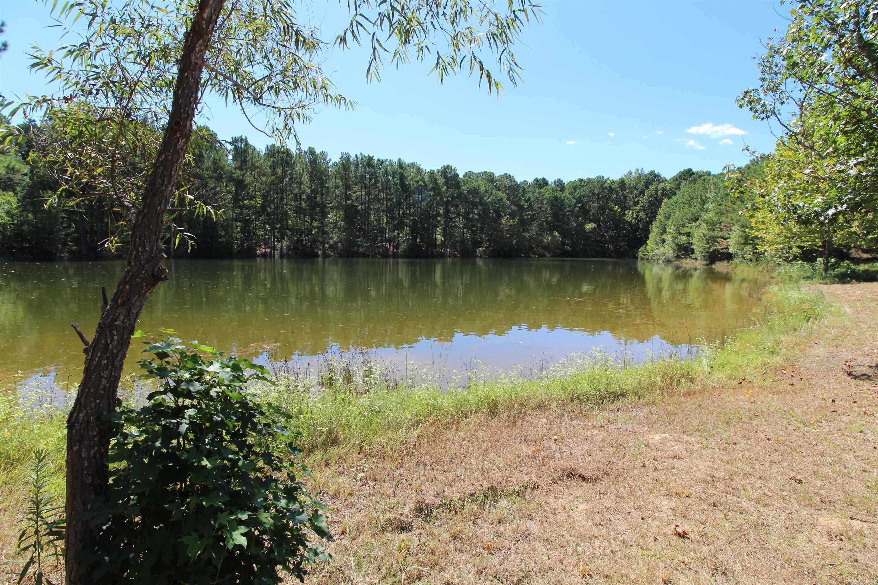 2815 Willow Springs Property Photo 2