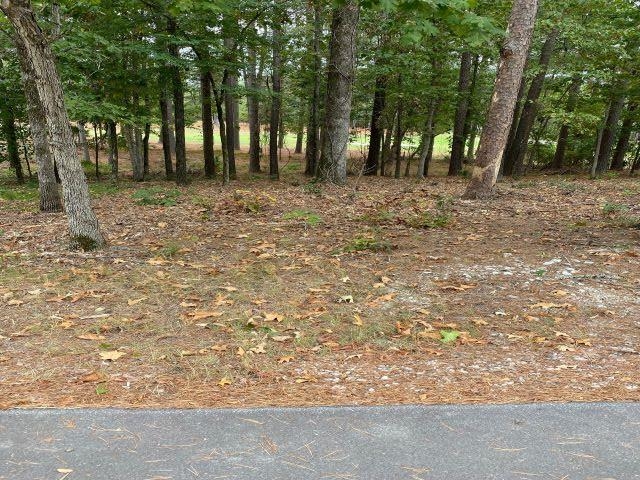 74 Loyola Drive Property Photo 1