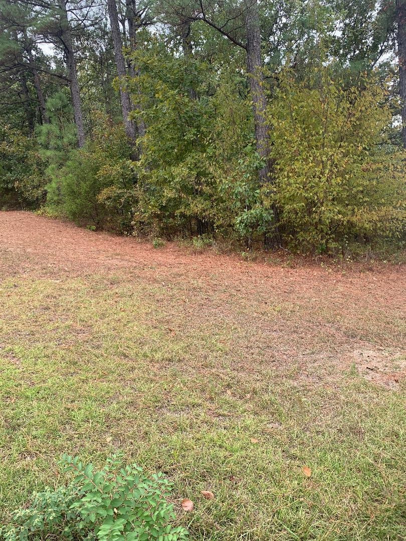 2 Fiesta Way Property Photo 1