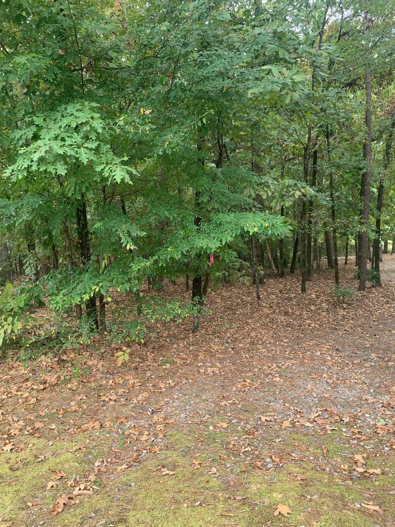 7 Morro Lane Property Photo 2