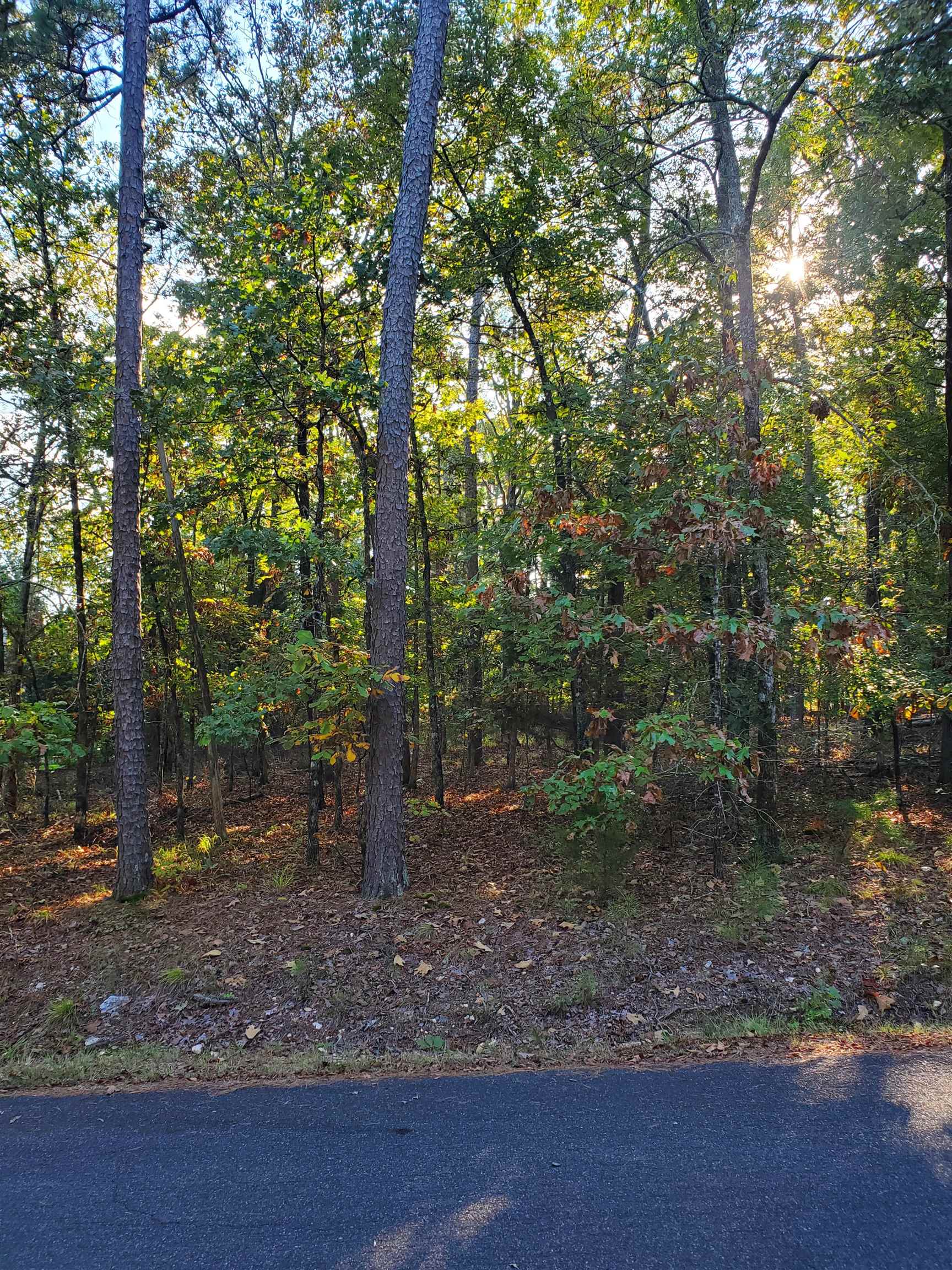 5 Loyola Way Property Photo 2
