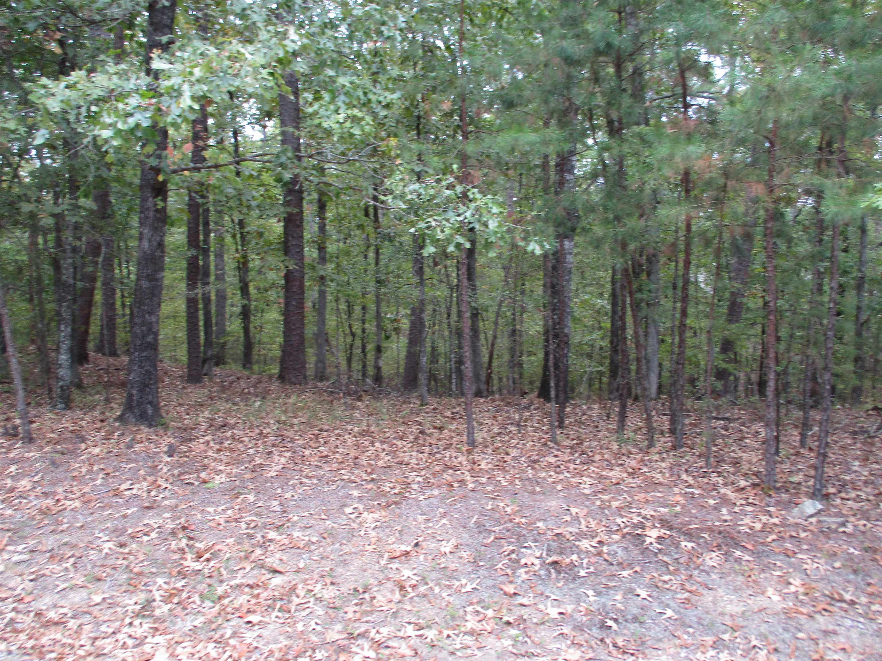 Princesa Trace Property Photo 1
