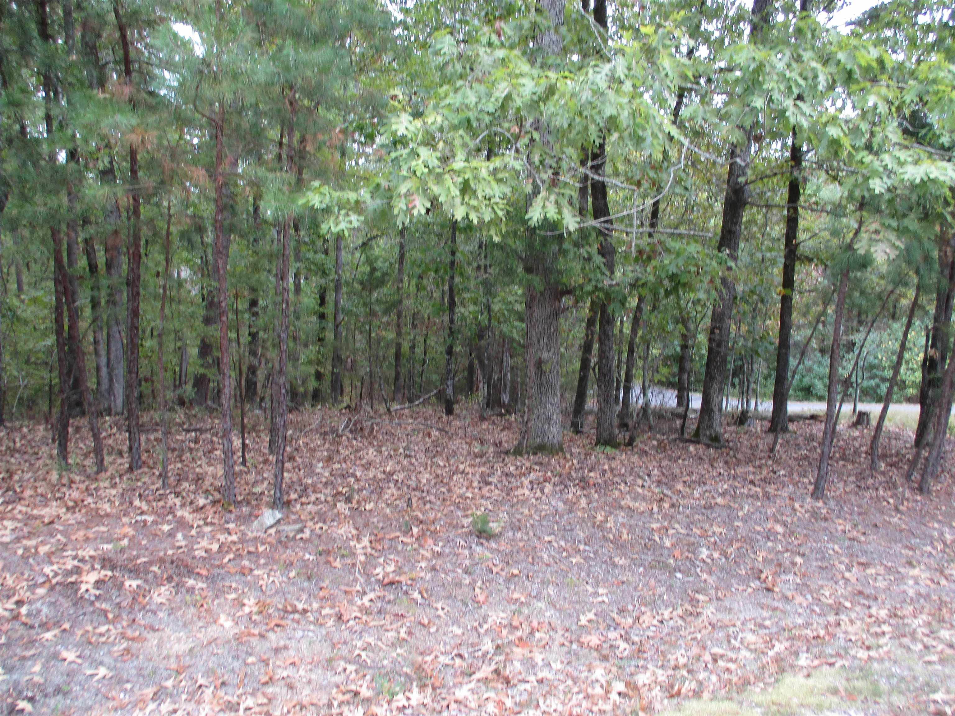 Princesa Trace Property Photo 2
