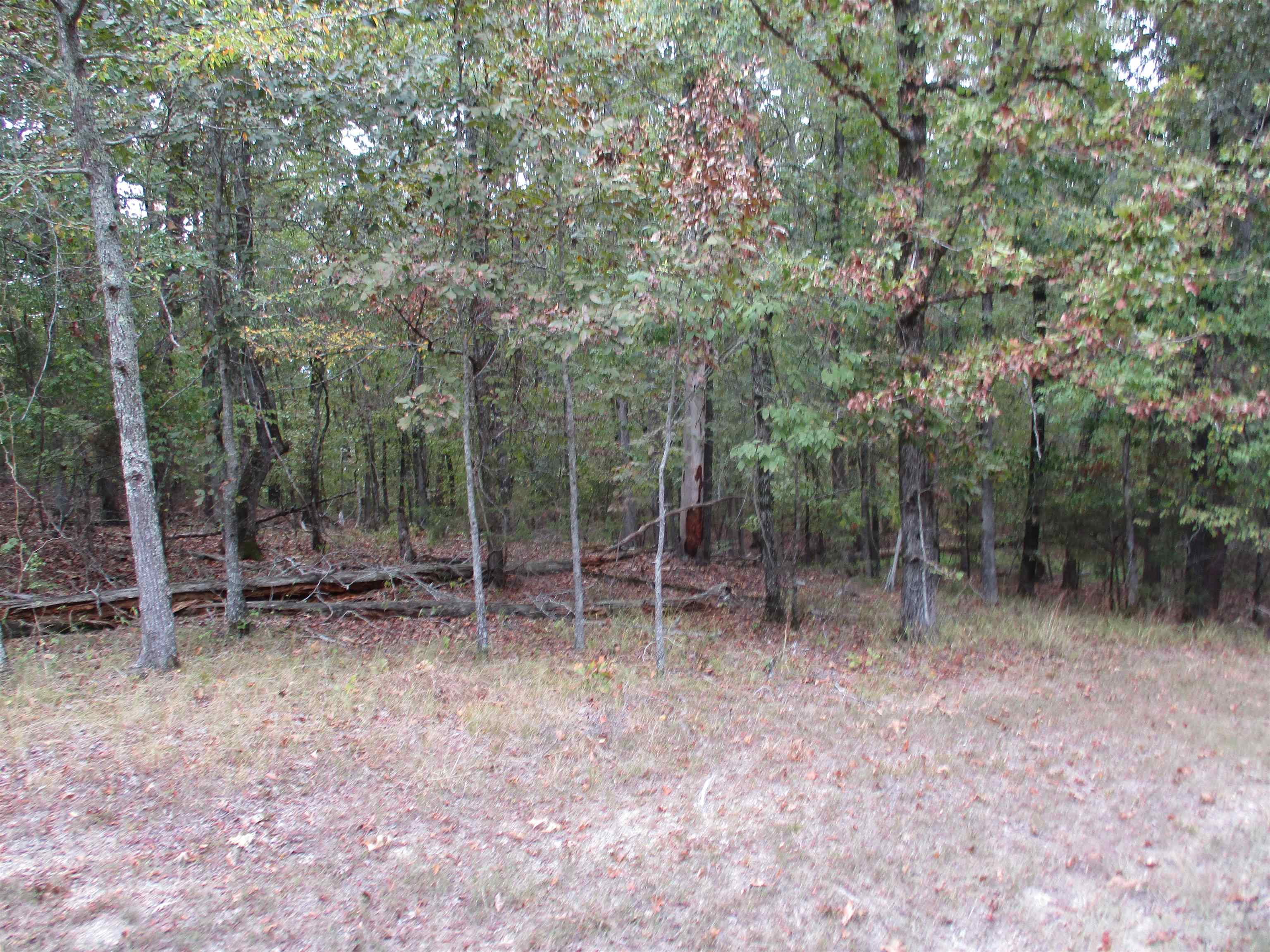 Princesa Trace Property Photo 3