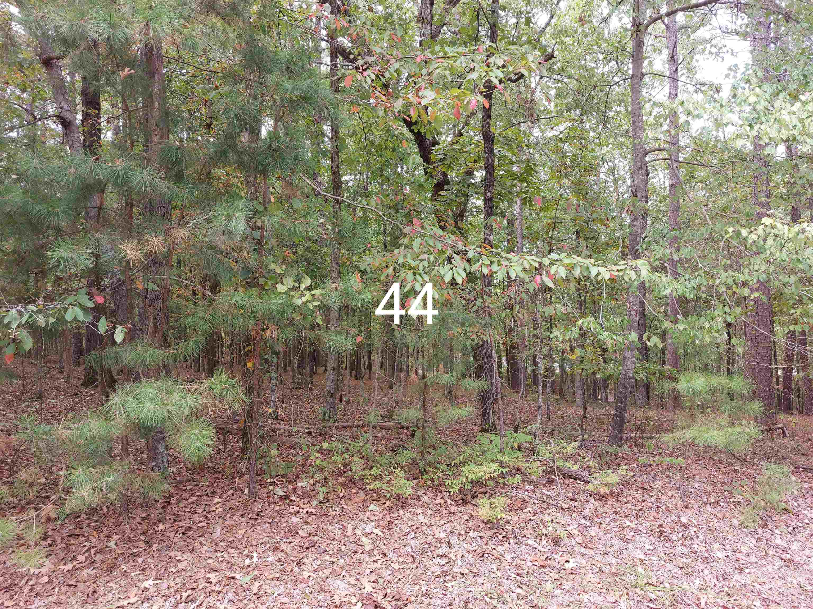 44 Granada Drive Property Photo 1