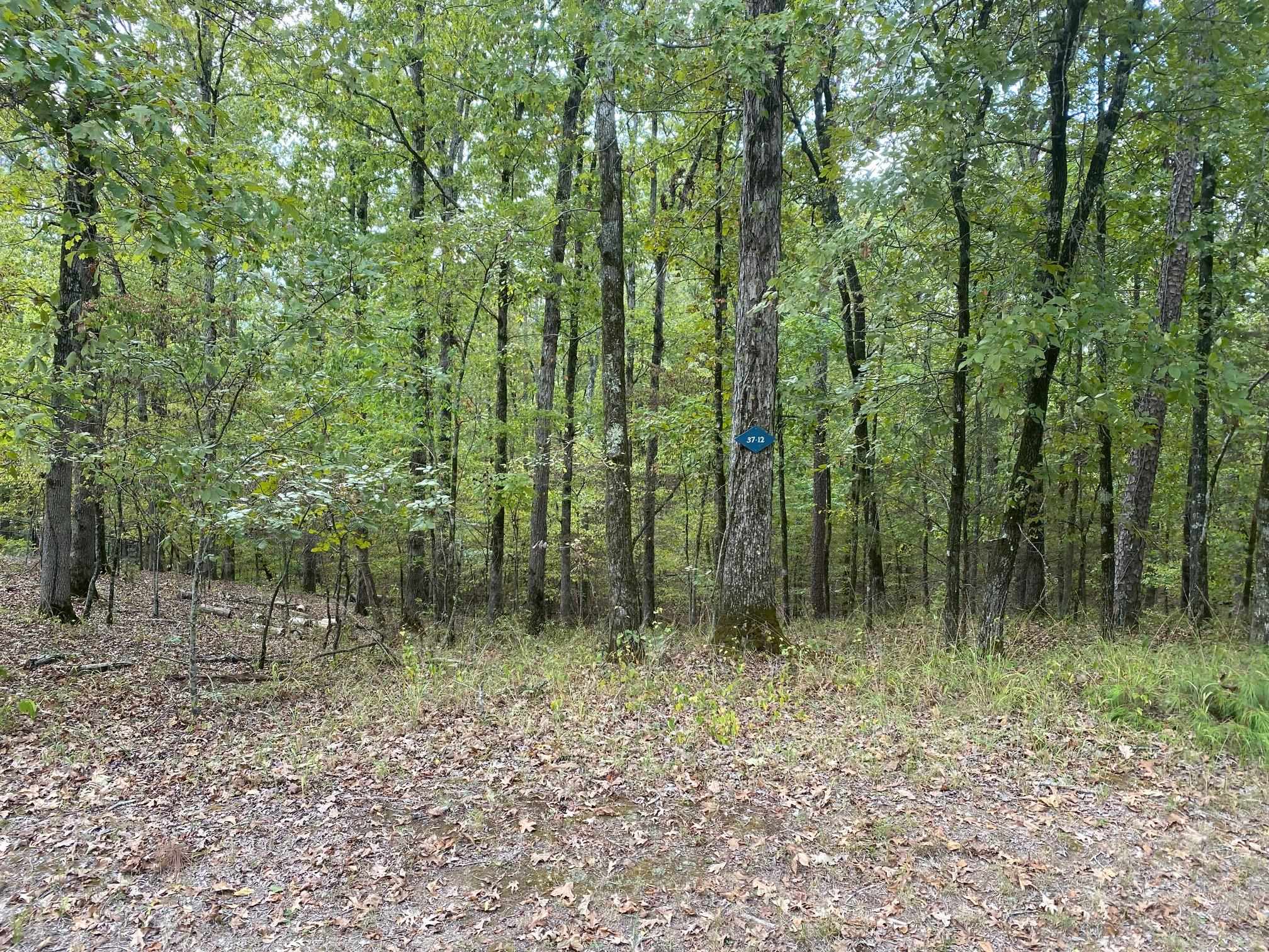 4 Princesa Place Property Photo 1
