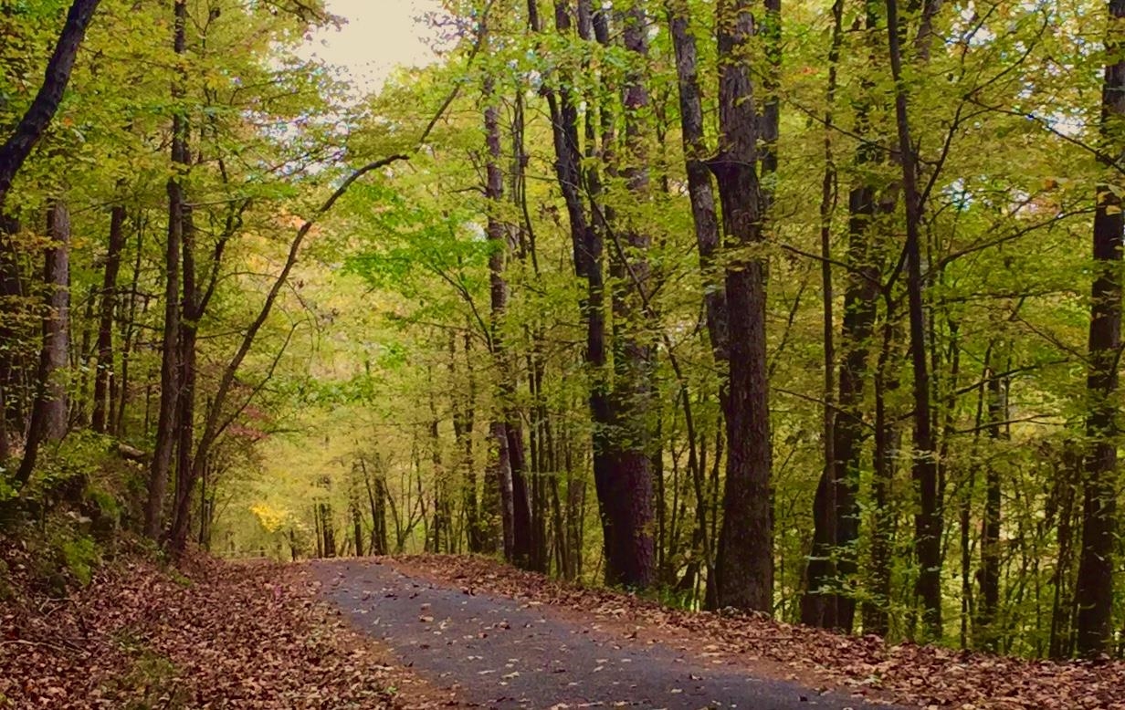 33 Granada Drive Property Photo 10