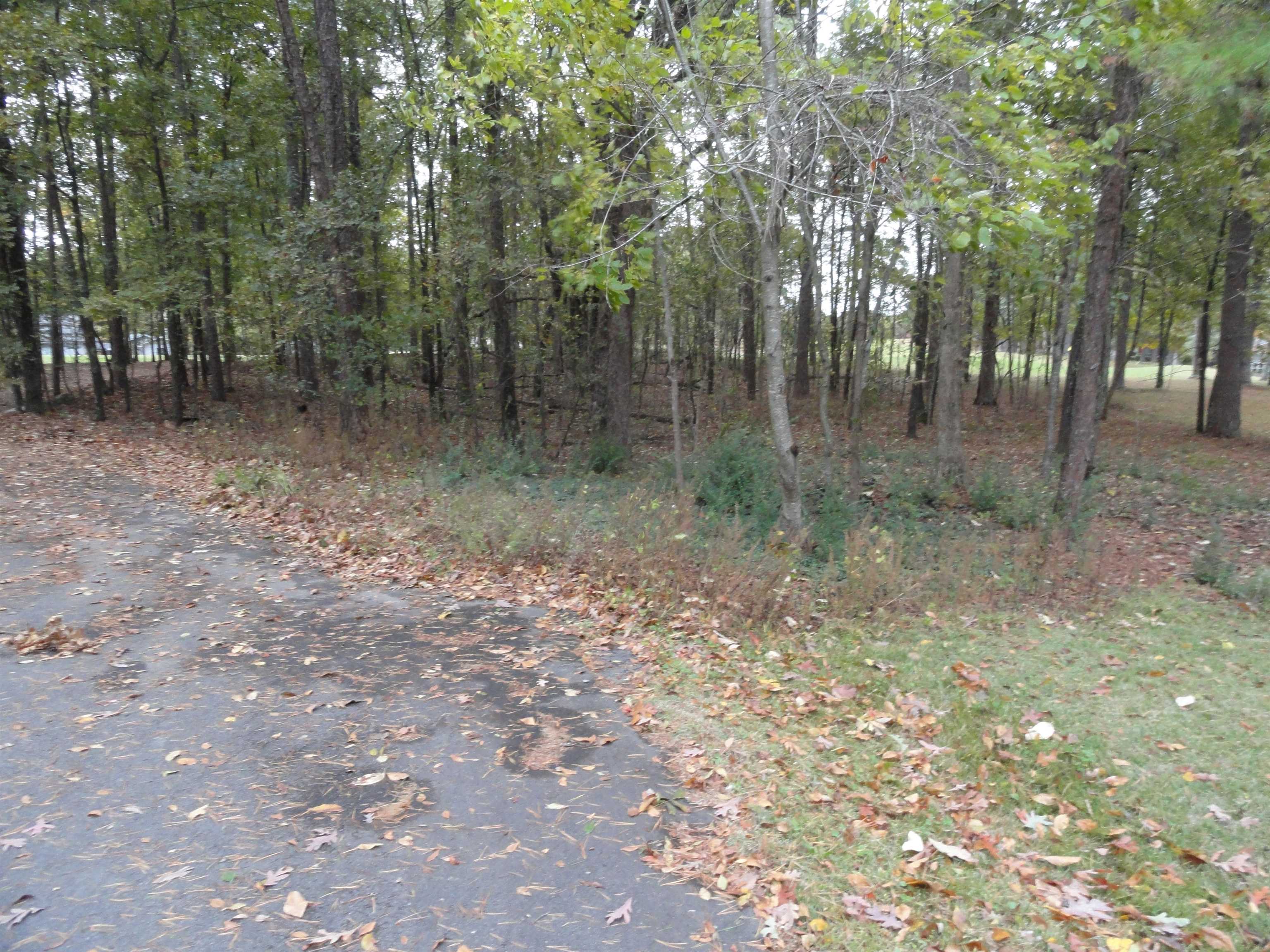 238 Snead Drive Property Photo 2