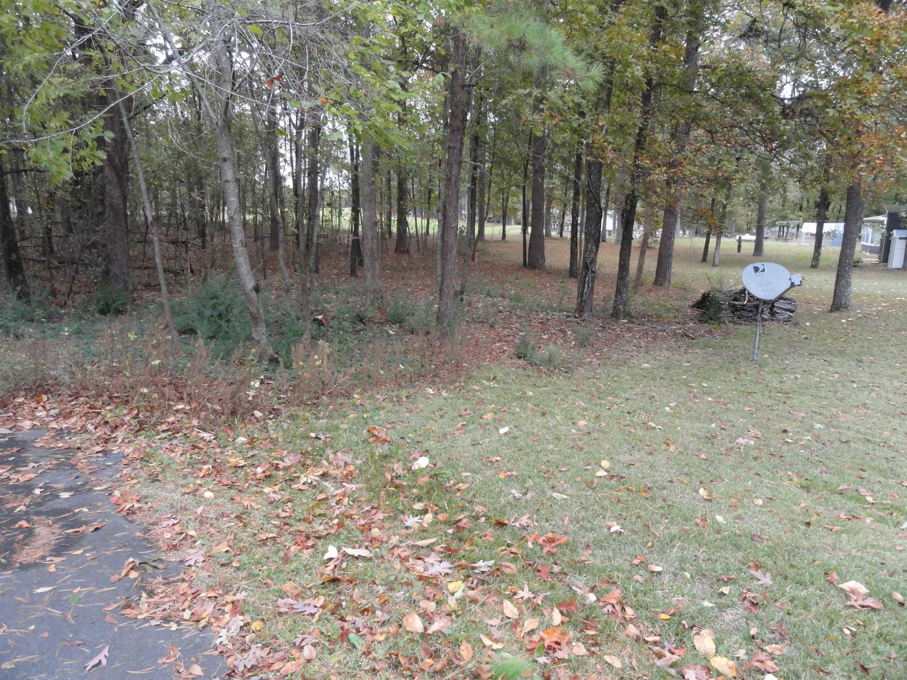 238 Snead Drive Property Photo 3