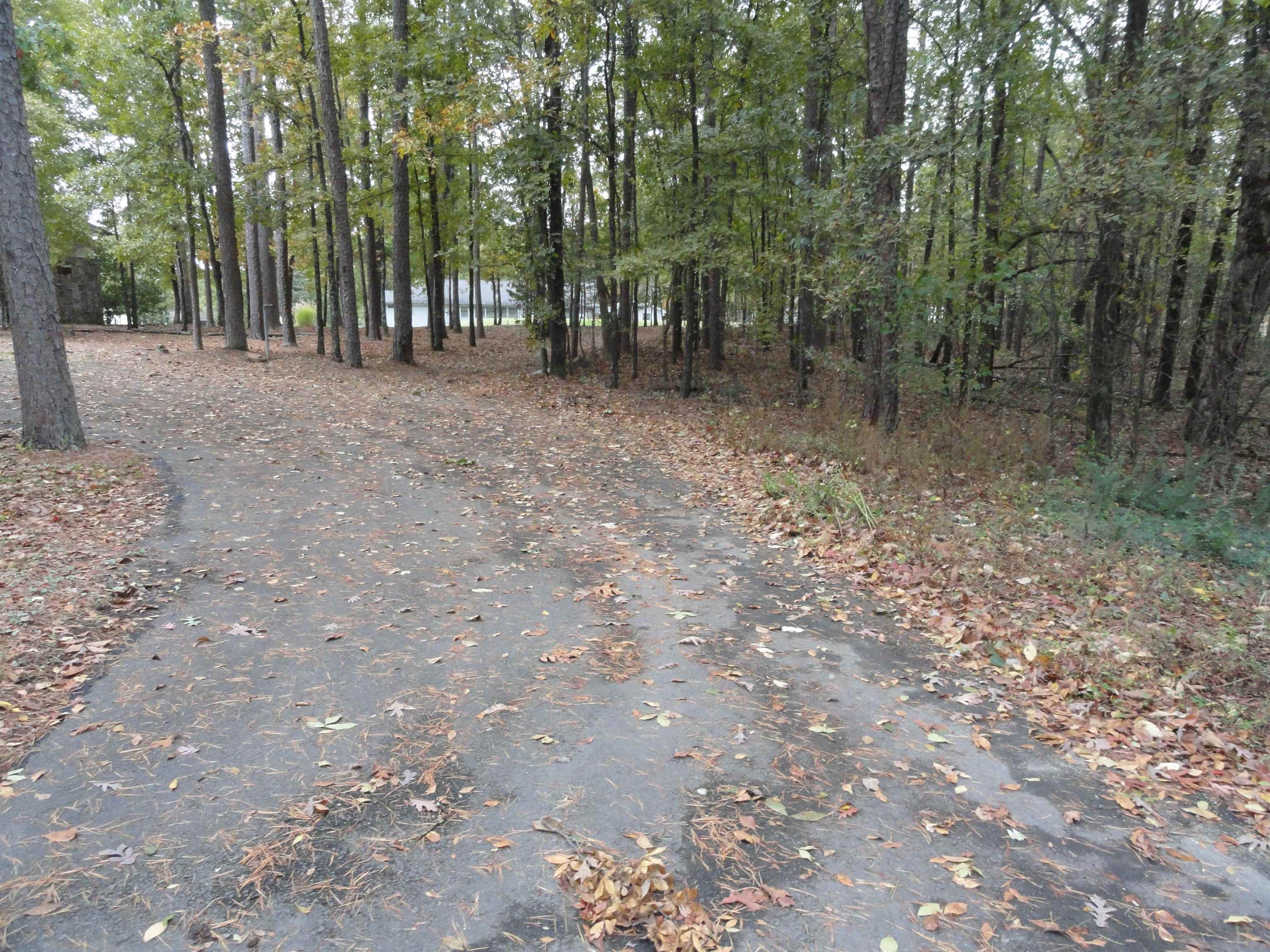 238 Snead Drive Property Photo 4